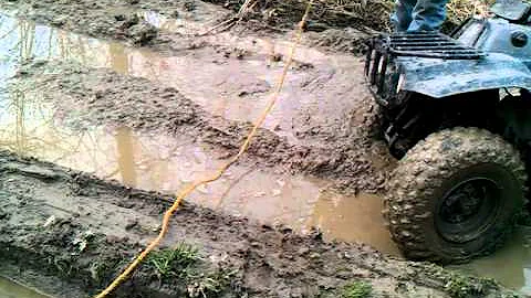 TRUE RED NECKS
