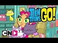 Teen Titans Go | Apreciadora de gatos | Cartoon Network