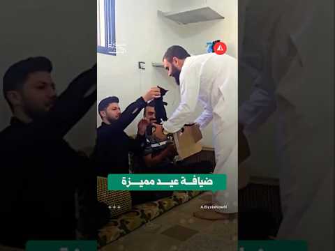 قطط صغيرة بدل الحلويات في ضيافة العيد