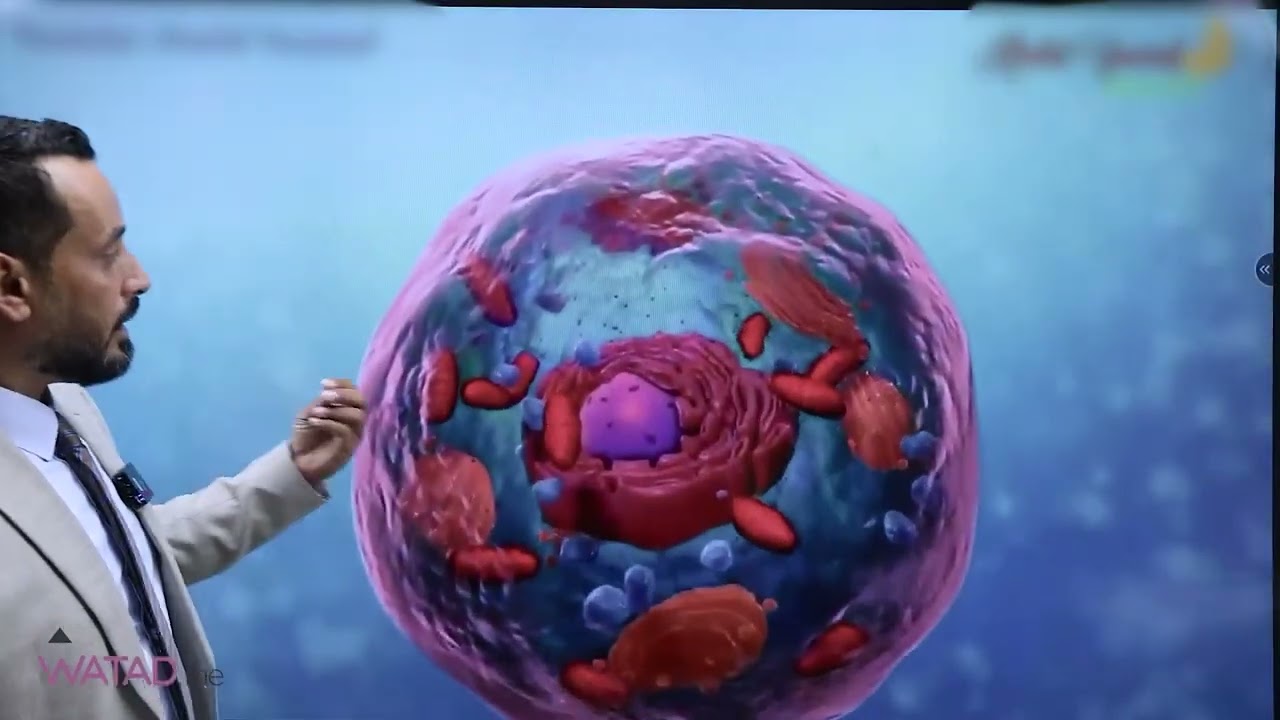 احياء 2008 تأسيس