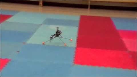 Trex 450SE V2 first flight