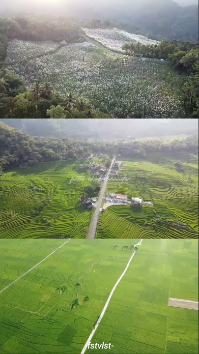 fstvlst - ayun buai zaman ( pesona kulon progo) story wa