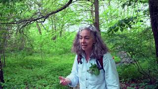 A Walk Through Bartram's Garden with Alison Hawver McDowell