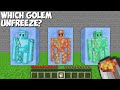 Only ONE ICE can be UNFREEZE to SAVE THE GOLEM in Minecraft ! CHOOSE GOLEM !