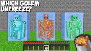 Only ONE ICE can be UNFREEZE to SAVE THE GOLEM in Minecraft ! CHOOSE GOLEM !
