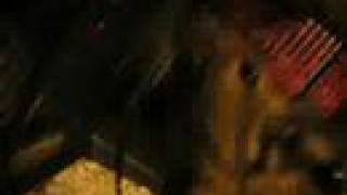 Rodent On Mad Sin