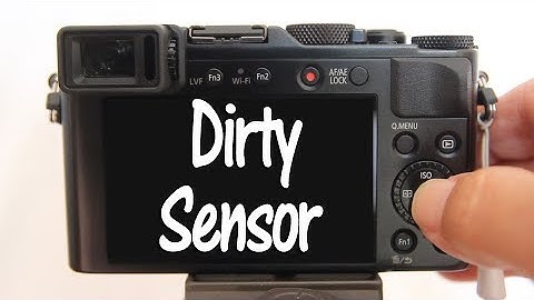 Sensor dust on my Panasonic LX100