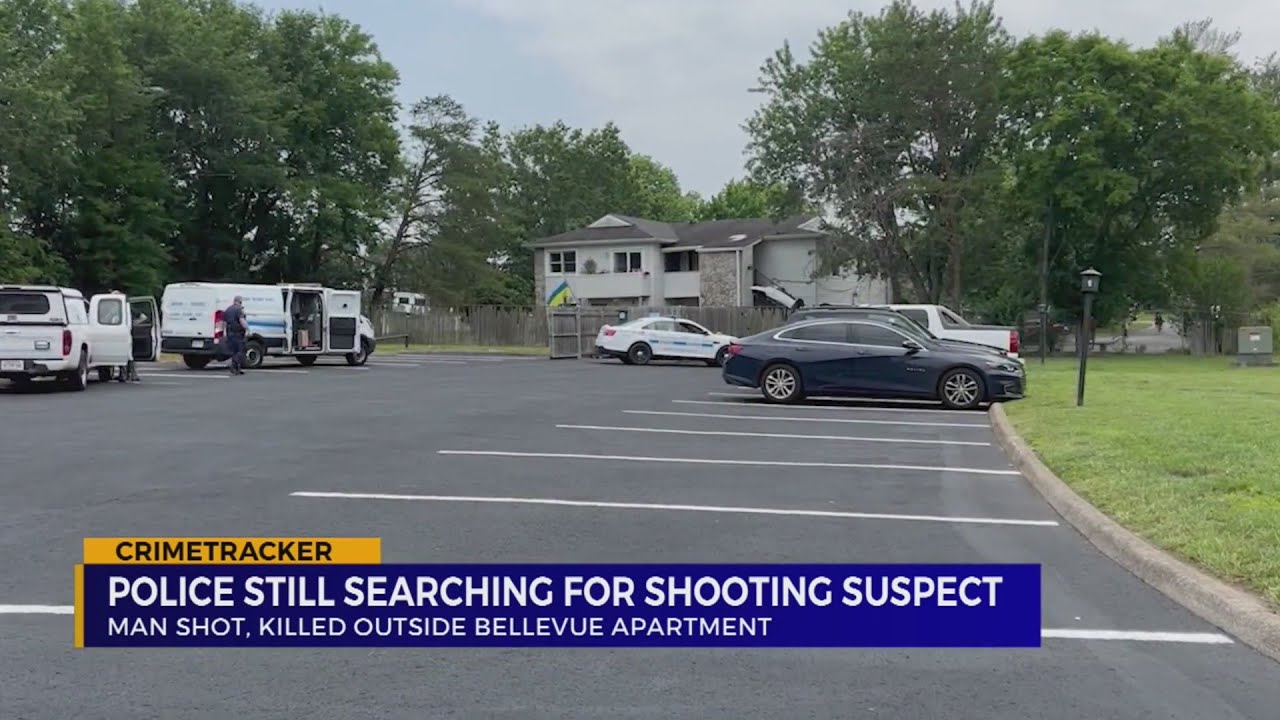 Police still searching for suspect in deadly Bellevue shooting - YouTube