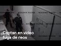 Fuga de reos de penal en Sinaloa - En Punto con Denise Maerker