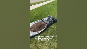 Quick Tip! There is no need to scoop things into trash bags any longer. Do this to save time #shorts