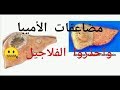 الأميبا (الانتميبا هيستوليتكا)مخاطر الإصابه وكيفيه العلاج بالشكل الصحيح