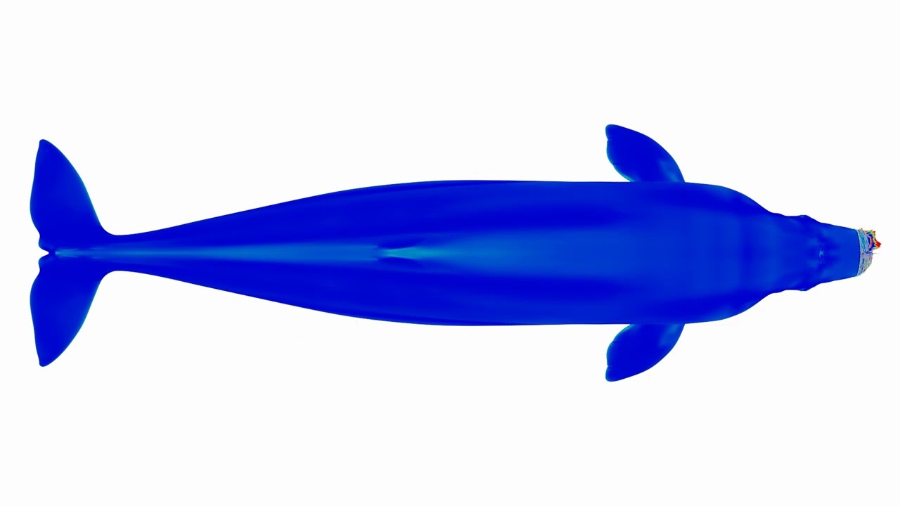 Spectrographic Sample: Beluga Whale (Delphinapterus leucas)