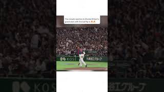 Shohei Ohtani is a cheat code...🔥