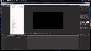 Celebrity After Effects | How to Make Reflections Net Worth