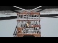 تغريد طائر حسون سطيلة موقنين 2017 Chardonneret Chant 