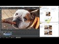 Middle of video