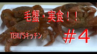 【TERU'Sキッチン#4】活毛蟹を食べてみた！