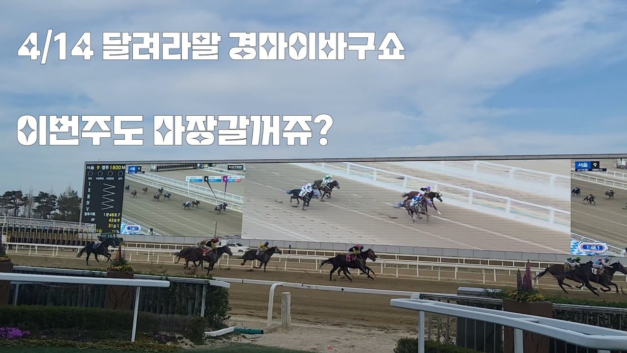경마는 무조건 마추면 장땡입니다!(곤조.미련.다양한 배팅법.ytn배)