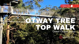 Otway Tree Top Walk | Victoria's Great Otway National Park