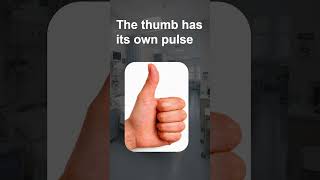Pulse Check Wrong Method | Thumb vs Index Finger Explained