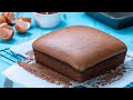 Chocolate Taiwanese Castella Cake - Best Chocolate Sponge Cake