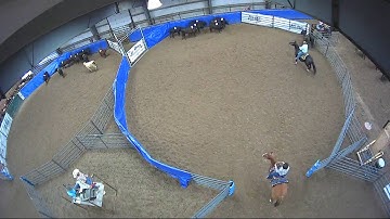 Big Sky Ranch Sorting Saddle Series #4 - #8 HC RANCH HAND (2 CAP SORTER) - Round #1 - Ride #20