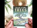 Oracle of the Trees Unboxing!