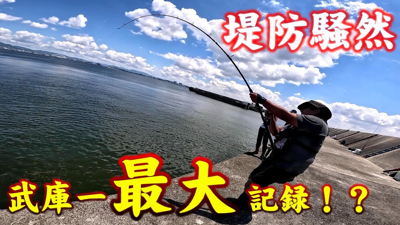 【驚愕】武庫川一文字でショアジギング！ブリを完全に凌駕する超巨大モンスターがヒット！