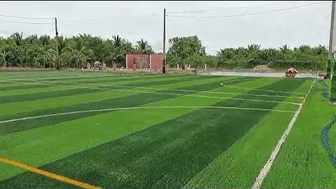 Đánh hạt cao su cho sân cỏ nhân tạo | Kênh Sân Cỏ Nhân Tạo