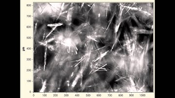 Application of PAT Tools for Pharmaceutical Crystallization Development