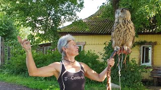 Yoll the owl on a staff. A staff for eagle-owl
