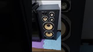 caixas gradiente Master 220S