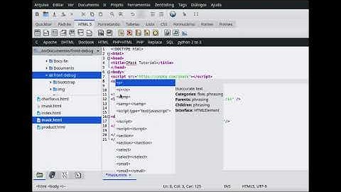 HTML & JavaScript - Como implementar máscara de segurança no campo de input