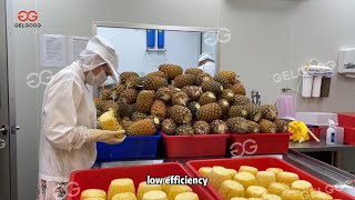 Fresh Pineapple Processing Machine - Gelgoog