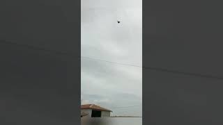Şeref Ağa Araplari 2.Bölüm Her Arap Seref Aga Deyildir