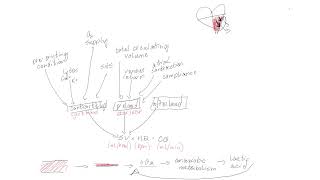 The Oxygen Supply and Demand Framework: Stroke Volume and Medications