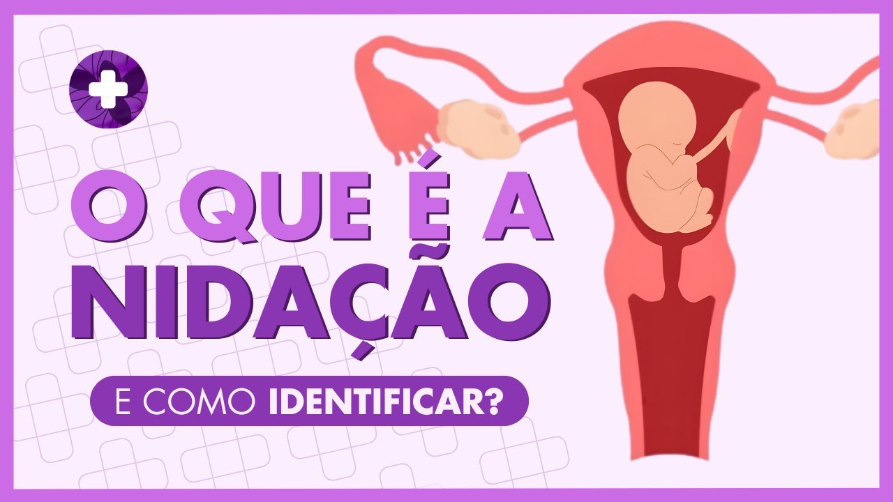 GRAVIDEZ: ENTENDA A NIDAÇÃO E AUMENTE SUAS CHANCES - YouTube