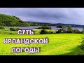 ТАК БЛИЗКО ещё не ВИДЕЛА! РАДУГА 🌈. Умные овцы под дождем. Лодочная станция.