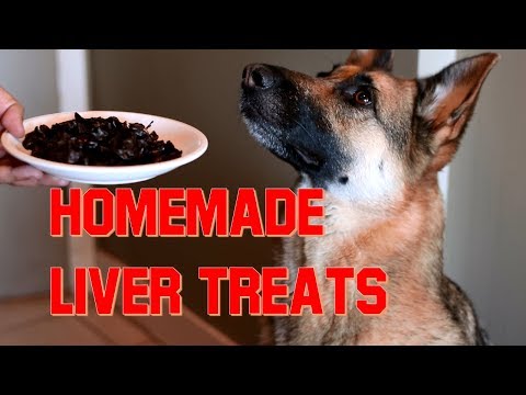 How to Make Home Made Liver Treats for Your Dog