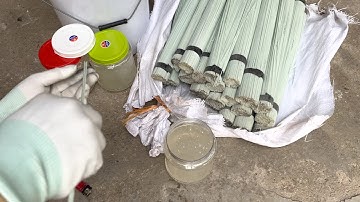 Cách lấy keo cò ra khỏi que quấn keo.nan nhựa bẫy cò siêu ĐẲNG CẤP.lh:0396084453