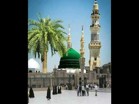 Milad Raza Qadri | Ey Hasnain Ke Nana | Official Video Super Hit Kalam