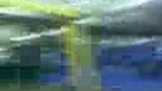 Dillon Off A Big Bosnian