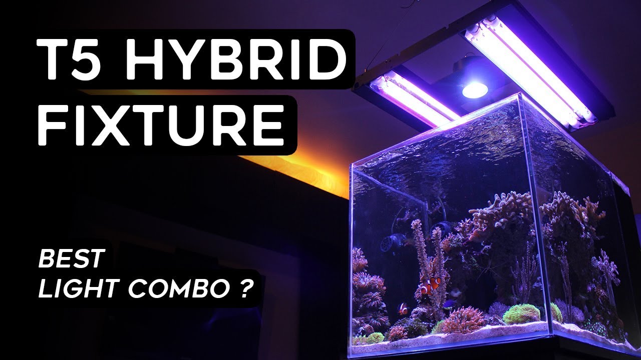 Hybrid lighting. Светильник гибрид для морского аквариума. Led a160we Tuna Blue. Напольный светильник Хайбрид RL 705.