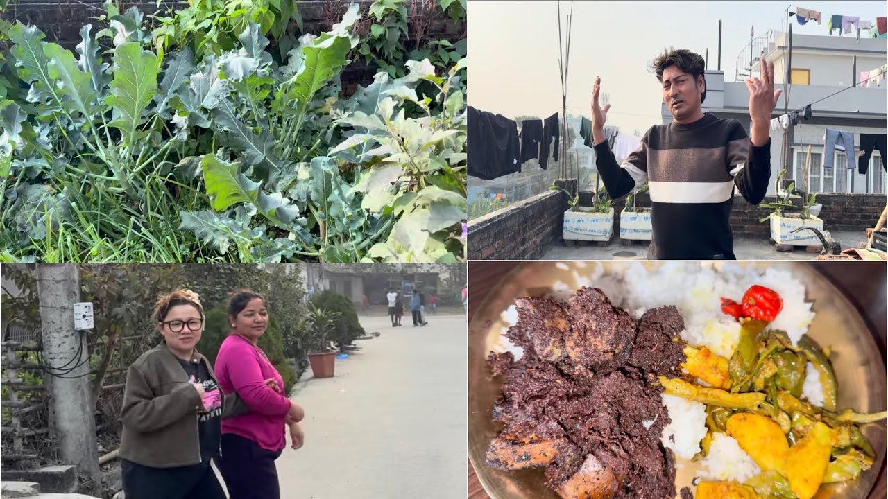 माइती घरमा आईपुग्यौ,करेसो बारीमा हरियो साग सबजी,नन्द भाउजुको हसीमजाक, लखने दाजुको ख्याल ठट्टा रमाईलो