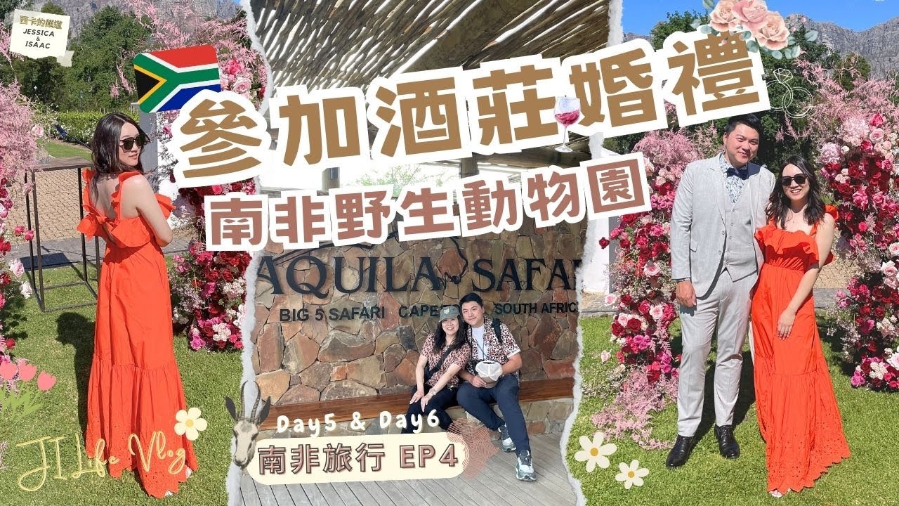 【南非開普敦】EP4 | 第一次參加酒莊婚禮好浪漫 | 搭吉普車和非洲獅子近距離接觸 | 在南非的最後兩天 - Vlog