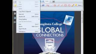 Editing and Proofing Tools in Adobe Acrobat 9 screenshot 2
