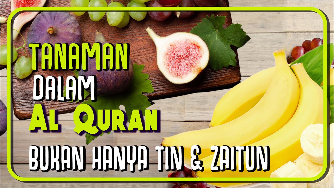 Tanaman yang Disebut dalam Al Quran Plants Mentioned in The Quran