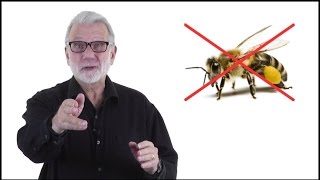 No Buzzwords!