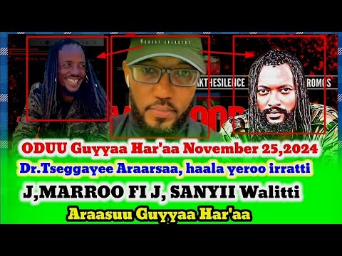 Hasawa Ajajaa Ol Aana ABO WBO Jaal Marroo Fi Jaal Saanyii Giddu Dubatan D R Tsegaye Ararssa