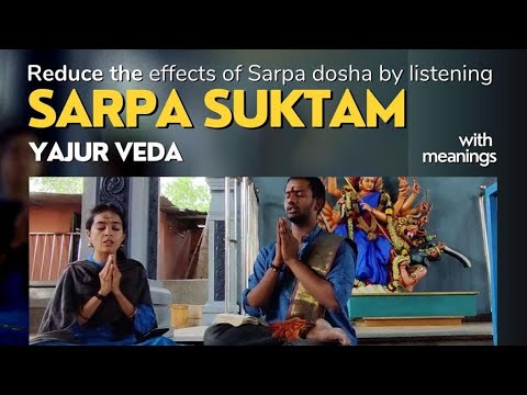 Sarpa Suktam Yajur Veda by Kum Shravanthi  Me  Subrahmanya Suktam  Remove Sarpa Dosha